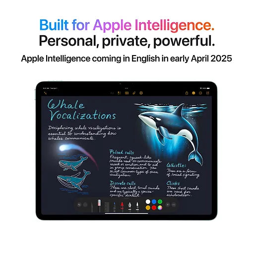 Apple iPad Air 13" M3 256 Gt WiFi + 5G 2025, tähtiharmaa (MCJ54)